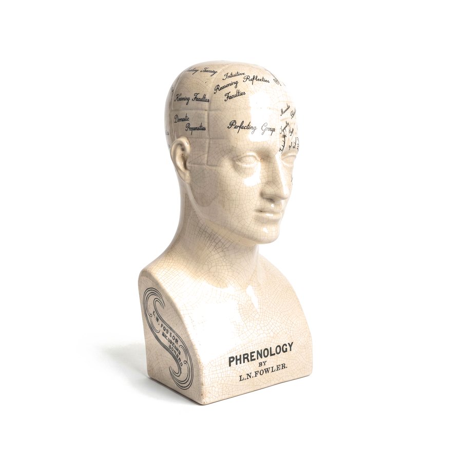 Busto "Phrenology" de cerámica craquelada